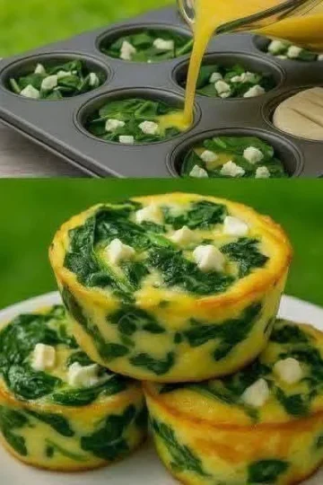 Spinach Egg Muffins