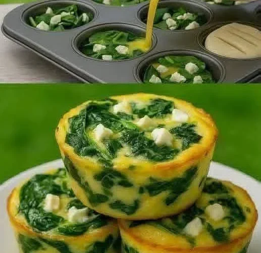 Spinach Egg Muffins