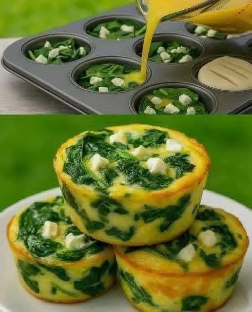 Spinach Egg Muffins